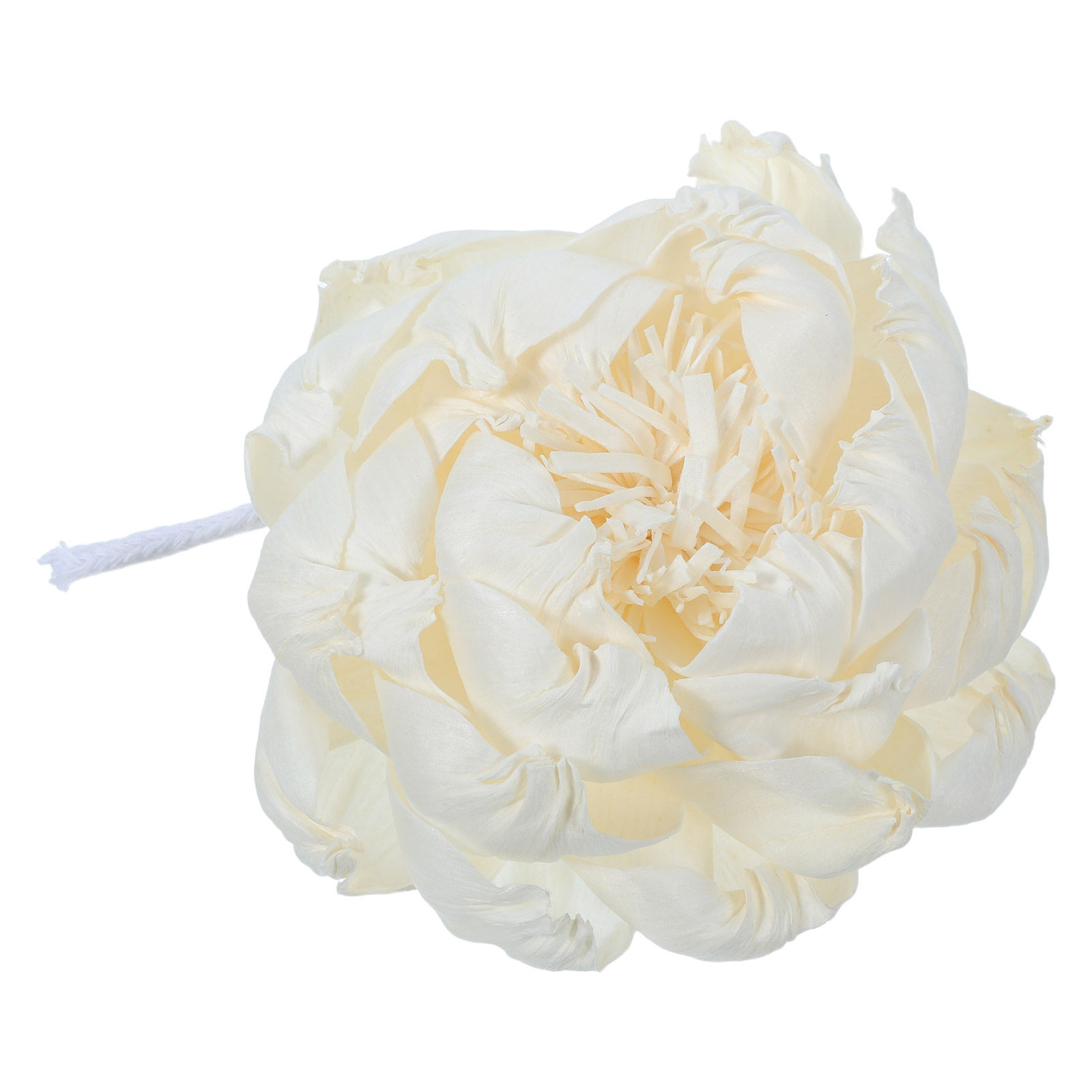 Peony Head Fragrance Diffuser  - đánh giá và giá Fragrance Home Decor