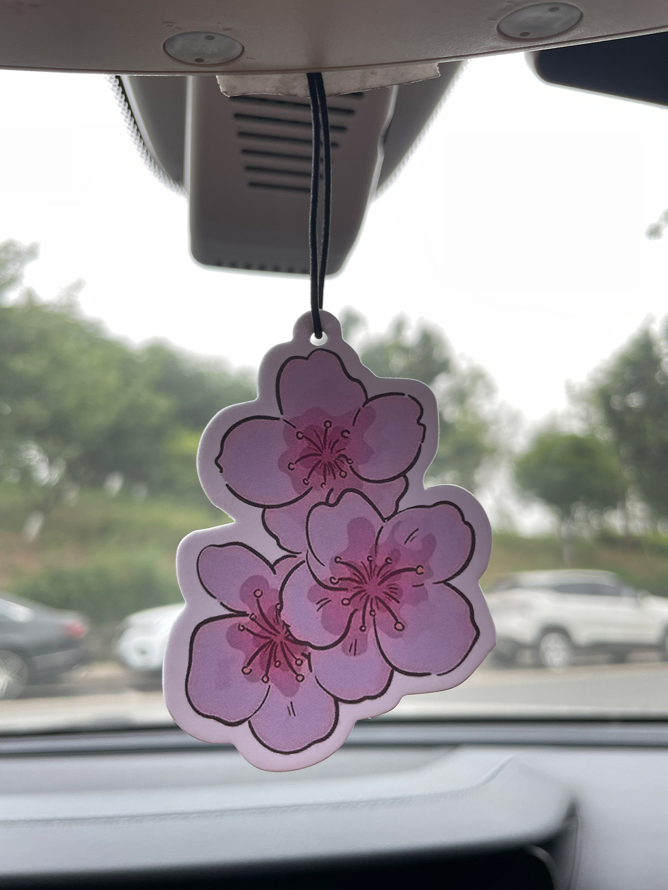 Sakura/Freesia Fresh Scent Fiv - đánh giá và giá Home Fragrance Use
